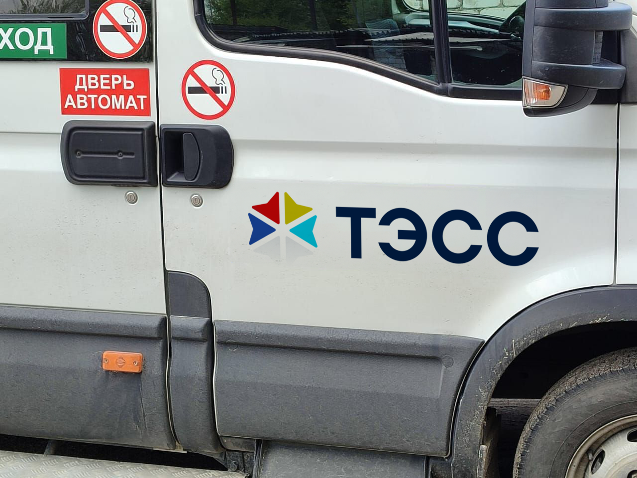 tess gallery image 1